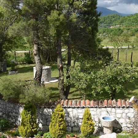 B&B Nel Verde Montesano sulla Marcellana Dış mekan fotoğraf