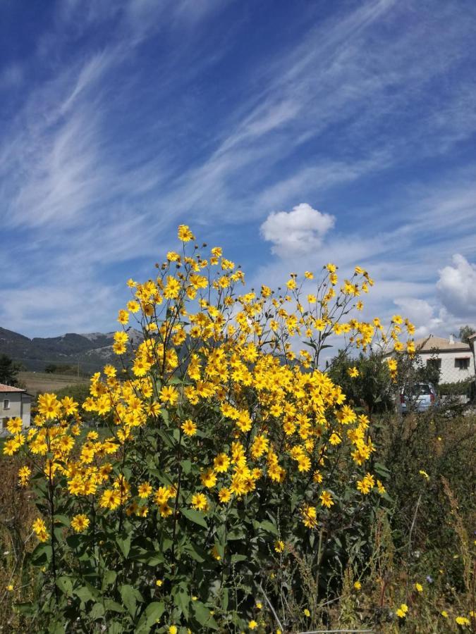 B&B Nel Verde Montesano sulla Marcellana Dış mekan fotoğraf
