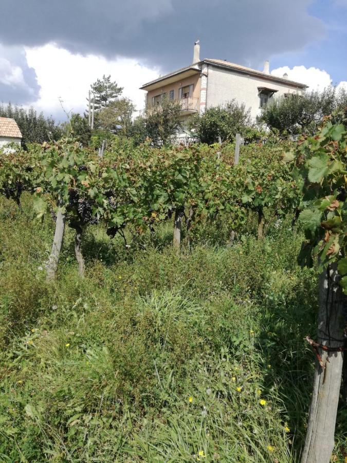 B&B Nel Verde Montesano sulla Marcellana Dış mekan fotoğraf