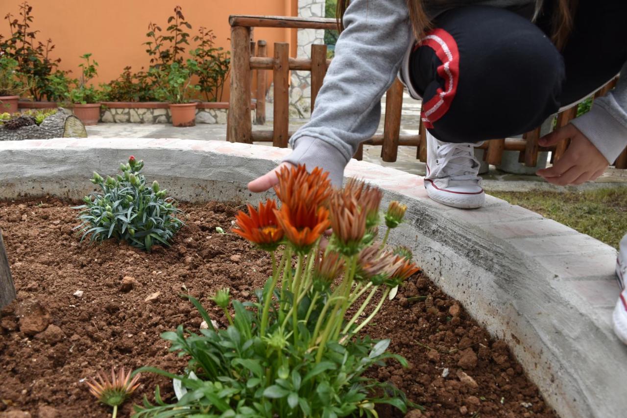 B&B Nel Verde Montesano sulla Marcellana Dış mekan fotoğraf
