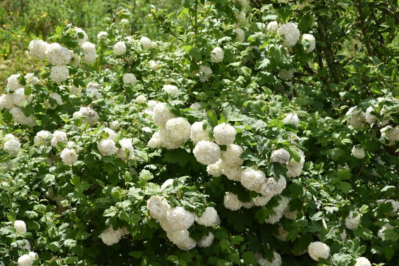 B&B Nel Verde Montesano sulla Marcellana Dış mekan fotoğraf