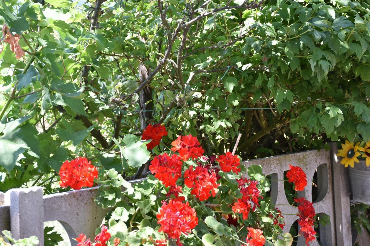B&B Nel Verde Montesano sulla Marcellana Dış mekan fotoğraf
