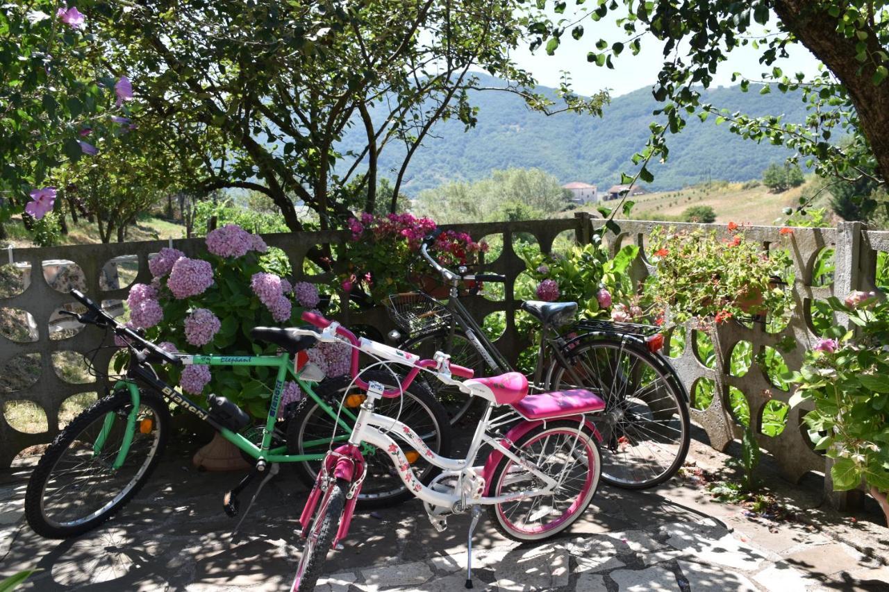 B&B Nel Verde Montesano sulla Marcellana Dış mekan fotoğraf